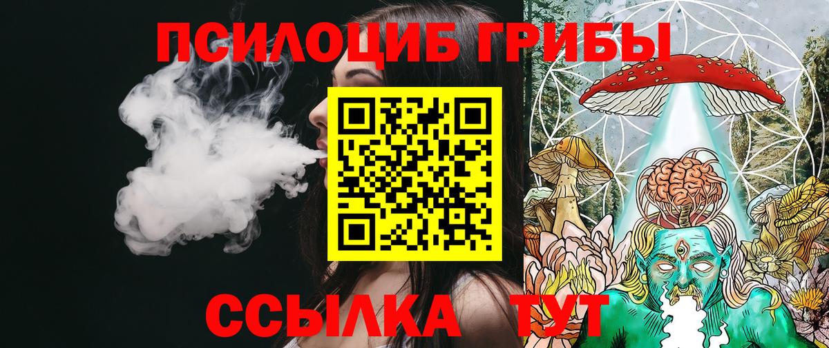 Шадринск  Галлюциногенные грибы Psilocybine cubensis  Вход с VPN 