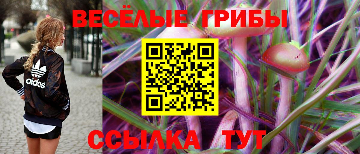 Галлюциногенные грибы мухоморы Шадринск