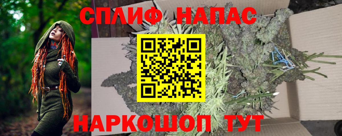 Каннабис планчик Шадринск